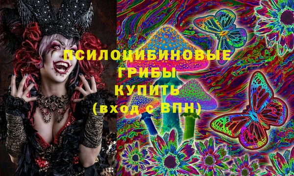 МДПВ Навашино